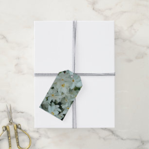 Paperwhite Narcissus Delikate Weiße Blume Geschenkanhänger