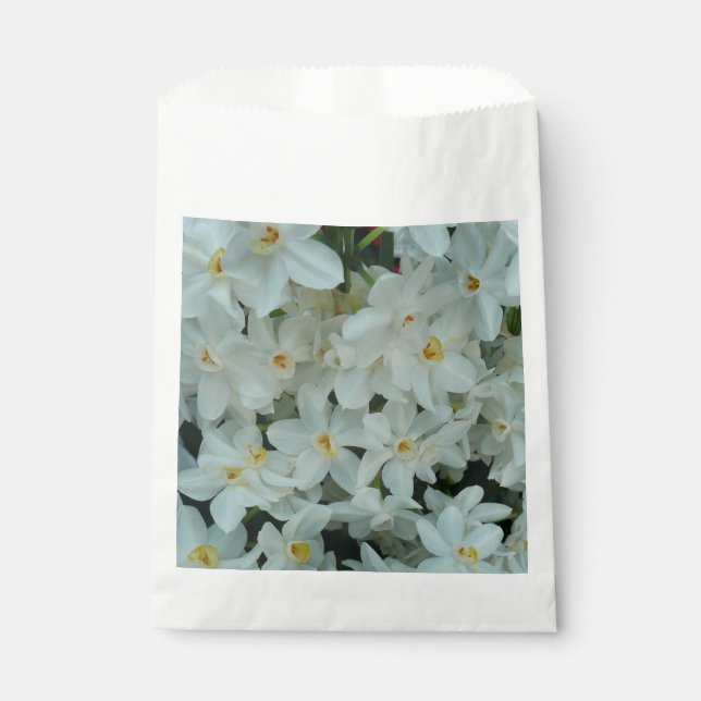Paperwhite Narcissus Delikate Weiße Blume Geschenktütchen (Vorderseite)