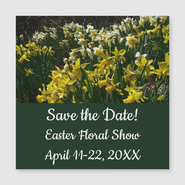 Paperwhite Narcissus Delikate Weiße Blume Magnetkarte (Vorderseite)