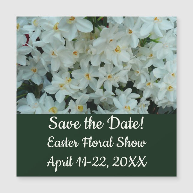 Paperwhite Narcissus Delikate Weiße Blume Magnetkarte (Vorderseite)