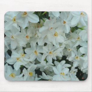 Paperwhite Narcissus Delikate Weiße Blume Mousepad