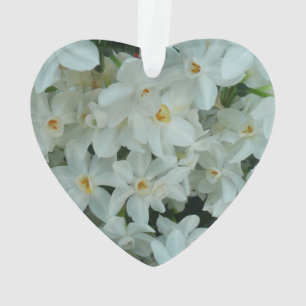 Paperwhite Narcissus Delikate Weiße Blume Ornament