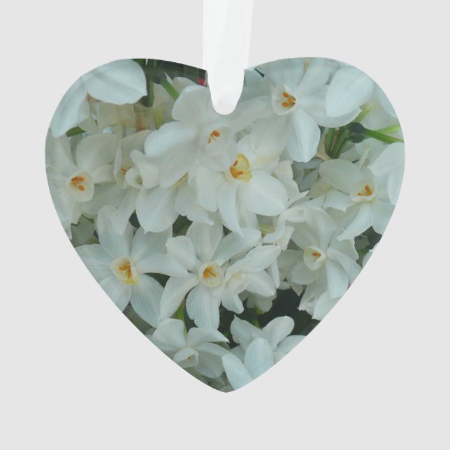 Paperwhite Narcissus Delikate Weiße Blume Ornament (Rückseite)