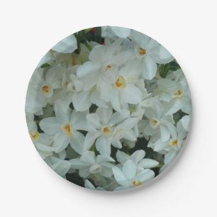Paperwhite Narcissus Delikate Weiße Blume Pappteller
