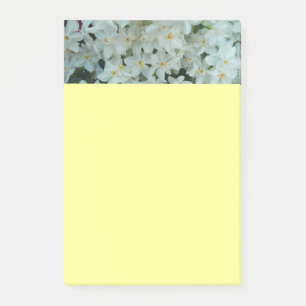 Paperwhite Narcissus Delikate Weiße Blume Post-it Klebezettel