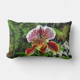 Paph Fiordland Sunset Orchidee Lendenkissen
