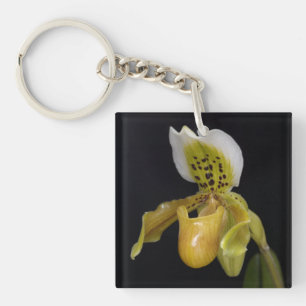 Paphiopedilum Exul Schlüsselanhänger
