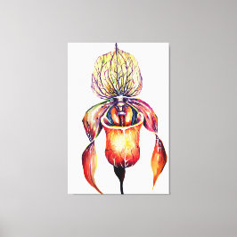 Paphiopedilum Orchid Leinwanddruck