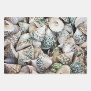 Papier für Ozeanfreunde!