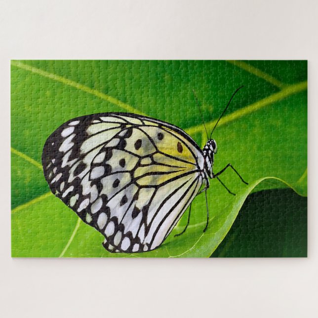 Papier Kite Schmetterling. Puzzle (Horizontal)