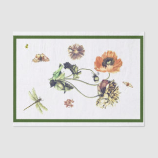 PAPIER UND INSEKTIONEN