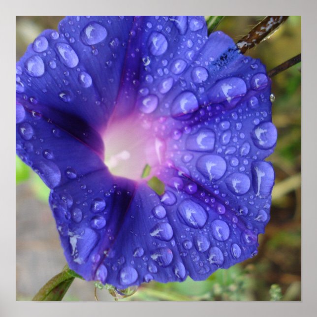 Papier und Kunst Poster (Vorne)