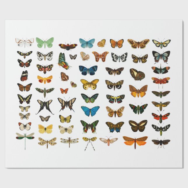 PAPIER: VINTAGE BUTTERFLY-CHART GESCHENKPAPIER (Flach)
