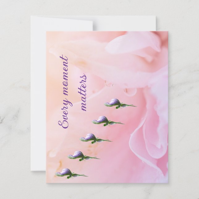 Papierblätter (Vorderseite)