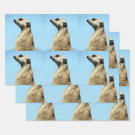 Papierblätter aus Méerkat Geschenkpapier Set