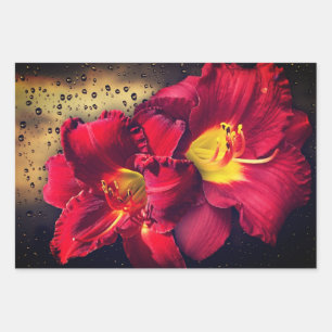 Papierblätter für Blumenbearbeitung Geschenkpapier Set