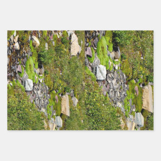 Papierblätter für Moosverpackungen Geschenkpapier Set