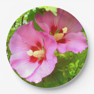 Papierplatte aus rosa Hibiskus Pappteller