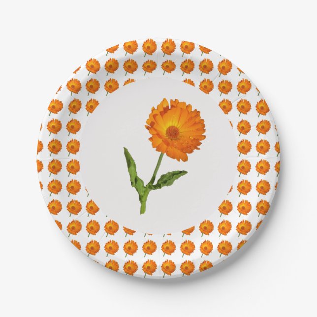 Papierplatte - Calendula Pappteller (Vorderseite)