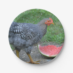 Papierplatte für Hühner und Wassermelonen Pappteller