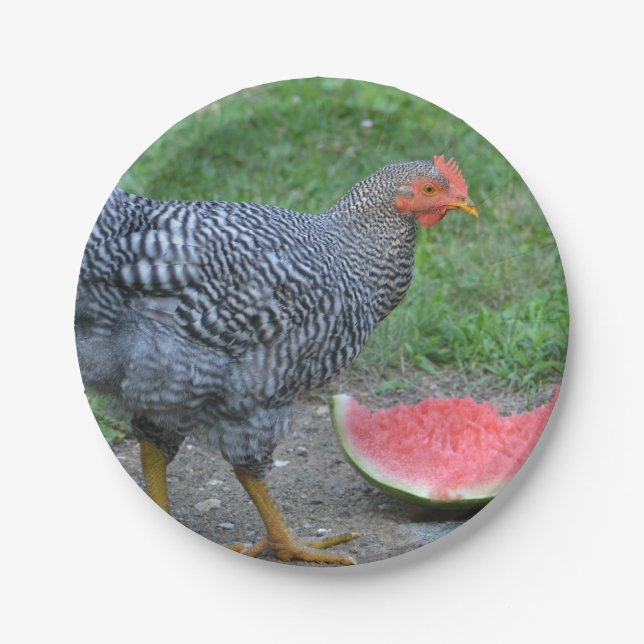 Papierplatte für Hühner und Wassermelonen Pappteller (Vorderseite)
