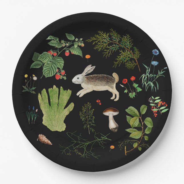Papierplatte für Waldgeheimnisse Pappteller (Vorderseite)