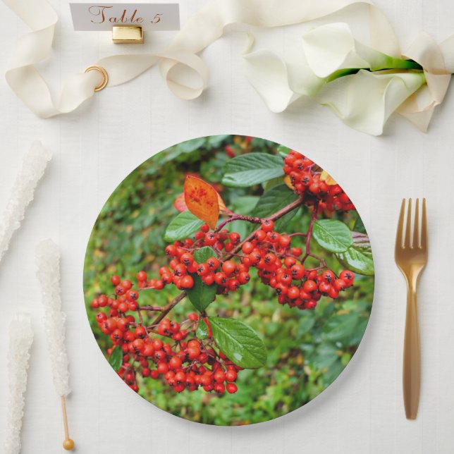 Papierplatte Pappteller (Hochzeit)