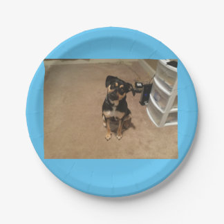 Papierplatte Pappteller