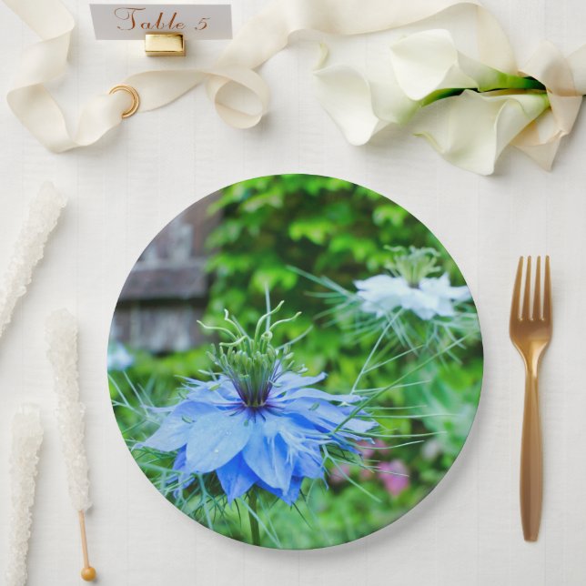 Papierplatte Pappteller (Hochzeit)