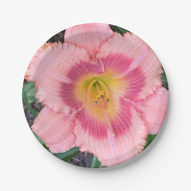 Papierplatte Pappteller (Vorderseite)