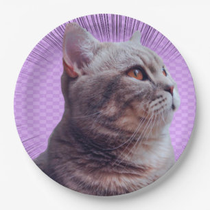 Papierplatte Pappteller