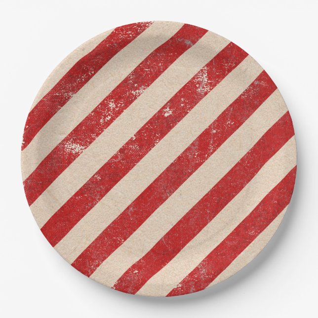 Papierplatte Pappteller (Vorderseite)