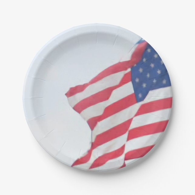 Papierplatte Pappteller (Vorderseite)