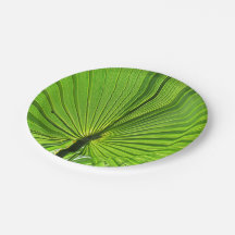 Papierplatte - Tropenpalme