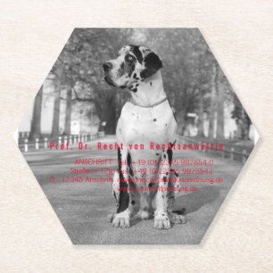 Papiers Untersetzer für Fotografen