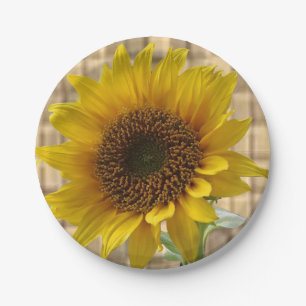 Papierschalen Sonnenblumen Pappteller