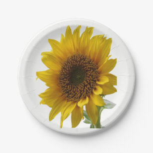 Papierschalen Sonnenblumen Pappteller