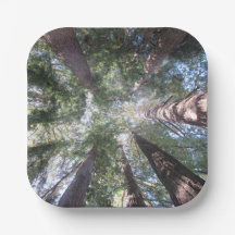 Papierschalen und -teller Kalifornische Redwoods n