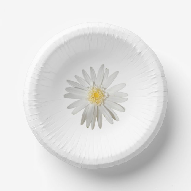 Papierscheibe Pappteller (Vorderseite)