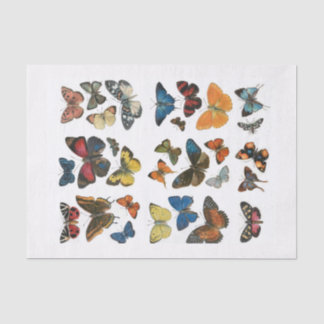 Papierschmetterlingseigenschaft Seidenpapier