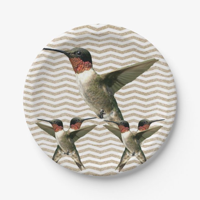 Papierschüsseln Vogel Pappteller (Vorderseite)