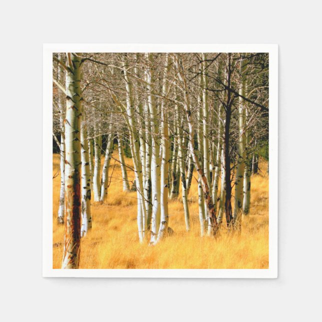Papierservietten aus Aspen (Vorderseite)