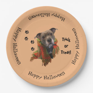 PapierTeller Superhero-Halloweens Pitbull