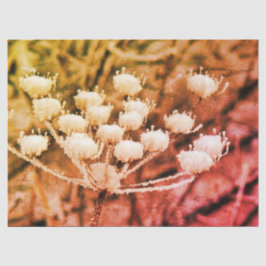 Papiertücher + Entpackpapier - Erste Freeze Seidenpapier