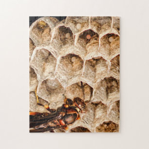 Papierwespe mit Nest-und Ei-Puzzlespiel Puzzle