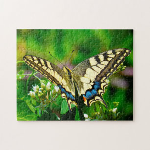 Papilio Machaon Butterfly. Puzzle