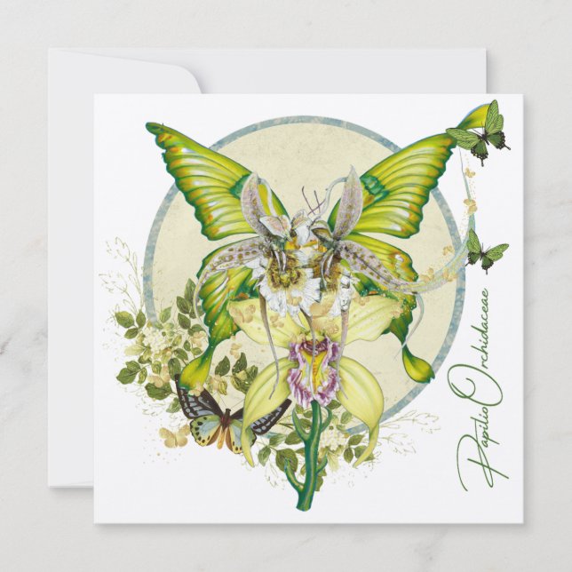 Papilio Orchidaceae (Vorderseite)