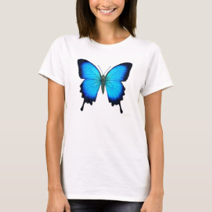 Papilio Ulysses Butterfly Ladys Crop Shirt