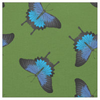 Papilio Ulysses Frack Butterflies Butterfly