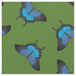 Papilio Ulysses Frack Butterflies Butterfly Stoff